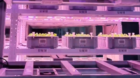 'Autoagro': fazenda que planta, cultiva e colhe sozinha é construida na China - VÍDEO