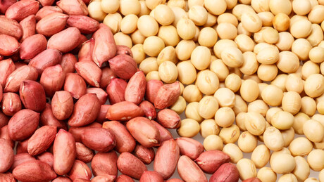 Guerra comercial de Trump contra o mundo abre espaço e Brasil amplia exportações para China