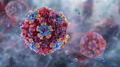 Alerta de saúde nos EUA: casos da 'doença do vômito de inverno' disparam