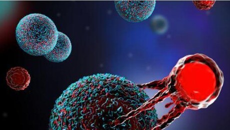 Terapia inédita no Brasil alcança alta taxa de remissão em leucemias e linfomas avançados