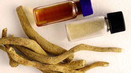 Pacientes dos EUA fazem 'peregrinação' ao México para tratar vício em fentanil com 'planta sagrada'