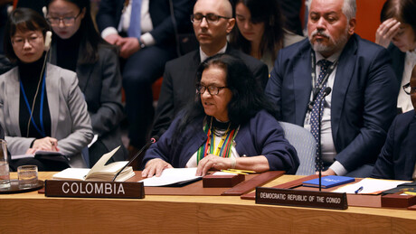 'A Venezuela merece viver em paz': Colômbia se pronuncia perante o Conselho de Segurança da ONU