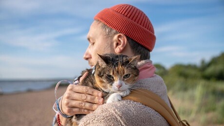 Luto pela perda de animais de estimação pode ser tão grande ou maior que por pessoas próximas