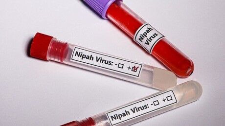 Virus mortal sem cura se espalha pela Índia