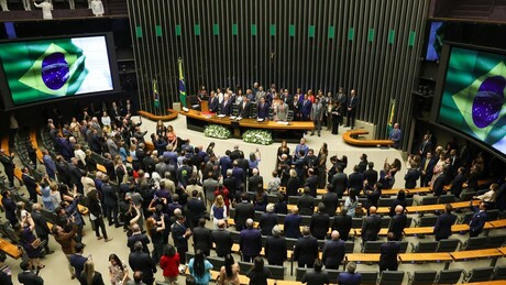 Senado debate penas mais rígidas para combater maus-tratos a animais