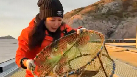 Chinesa abandona emprego bem remunerado para trabalhar em ilha inabitada