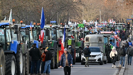 Parlamento Europeu adota garantias para o acordo UE-Mercosul: como funcionarão?