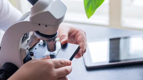 Adolescente russo faz surpreendente descoberta científica acidental durante experimento escolar