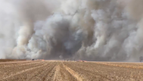 VÍDEOS: incêndios florestais assolam os EUA e provocam evacuações em massa