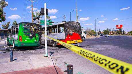 'Território de guerra': influenciador mexicano desabafa sobre onda de violência