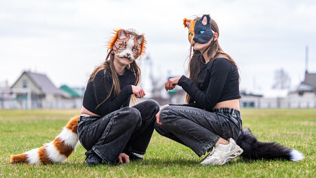 Assim são 'therians', o bizarro fenômeno que invadiu as redes sociais e quase ninguém compreende