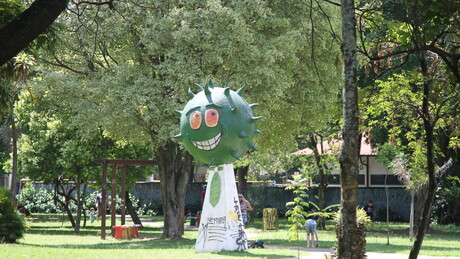 Jaqueta dos Mamonas Assassinas é encontrada intacta em exumação da banda