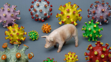 Uma nova pandemia? Estudos identificam variante viral silenciosa