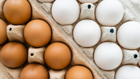 'Quantos posso consumir?': O que os cientistas dizem sobre o consumo de ovos e a saúde cardiovascular