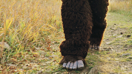 Fome de atenção? Pé Grande é visto sete vezes em cinco dias, alegam criptozoólogos