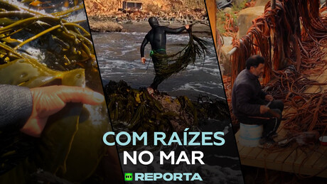 Com raízes no mar - RT Reporta