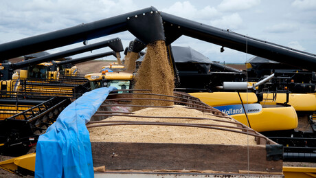 Ministério da Agricultura viaja à China para negociar fiscalização de soja