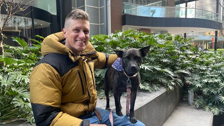 Australiano usa IA para criar vacina experimental contra câncer de cadela