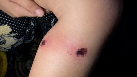 Soldados de Israel teriam torturado criança palestina para arrancar confissão do pai