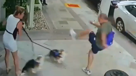 Empresário é condenado por chutar cães de irmã de ministro do STF em SP