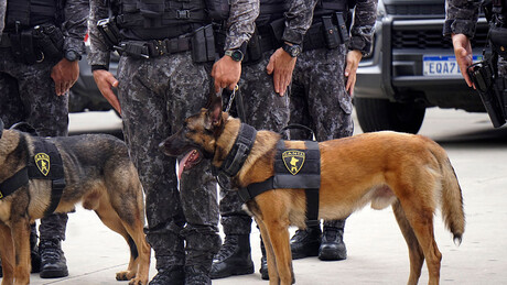 Imprensa dos EUA reconhece que PCC e CV 'não têm papel relevante' no tráfico de drogas ao país