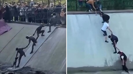 VÍDEO: Cidade ergue escultura para homenagear jovens que salvaram um cachorro