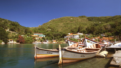 Cidade brasileira é eleita pela ONU como uma das '20 Cidades Líderes' em resíduo zero no mundo