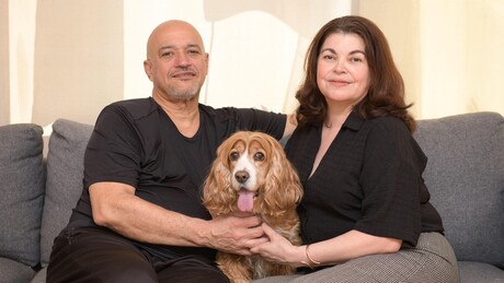 Senado aprova guarda compartilhada de animais de estimação