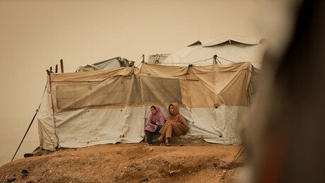 Palestina elogia resolução de Portugal que condena Israel por confisco de terras