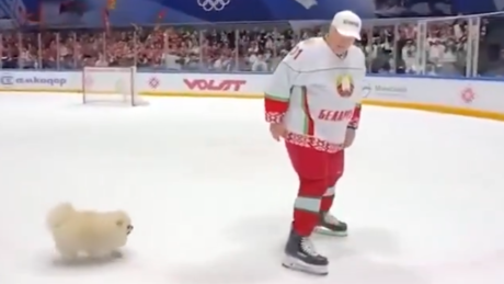 VÍDEO: Cão de Lukashenko acompanha presidente em treino de hóquei no gelo