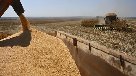 ONU alerta: Guerra no Oriente Médio pode pressionar suprimento global de alimentos