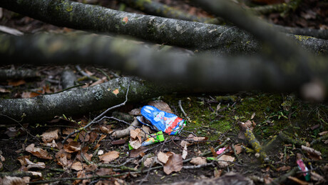 Caça aos ovos de Páscoa termina com 3 mortos, entre eles um bebê de 10 meses