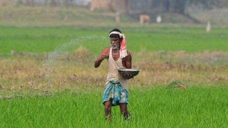 Gigante asiático abre licitação urgente para importar fertilizante em meio à crise no Oriente Médio