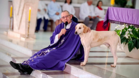 Devoto de quatro patas: cachorro começa a frequentar missa e rouba cena no Paraná