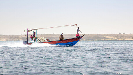 FOTOS: Pescadores iranianos encontram artefato inesperado no Golfo Pérsico