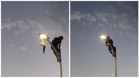 VÍDEO: Jovem arrisca vida para resgatar gaivota presa