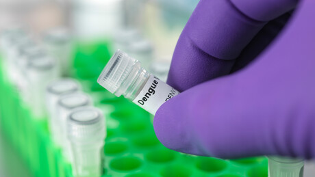 Rússia cria vacina contra dengue