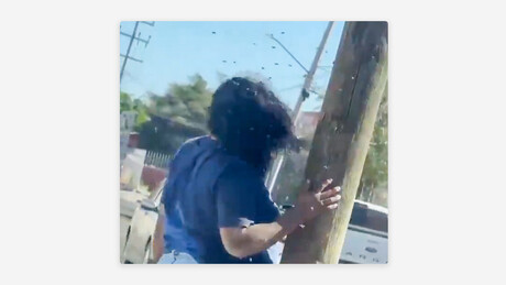 VÍDEO: Mulher sofre ataque massivo de abelhas e leva mais de 200 picadas