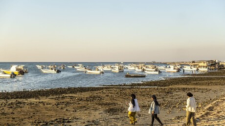Especialistas alertam para riscos dos derramamentos de petróleo causados ​​pela guerra contra o Irã