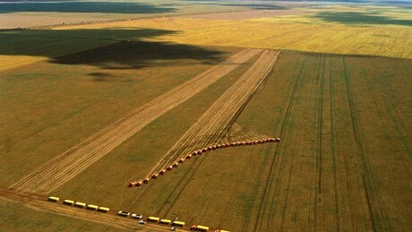 Soberania: STF restringe compra de terras por capital estrangeiro
