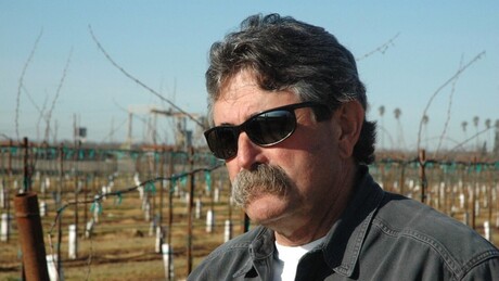 Caçador milionário morre pisoteado por manada de elefantes