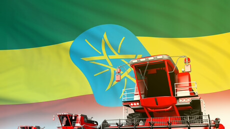 País africano substitui o equivalente a US$ 4,85 bilhões em importações por produção local