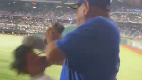 VÍDEO: Fã provoca rivais e leva soco na cara durante partida de baseball