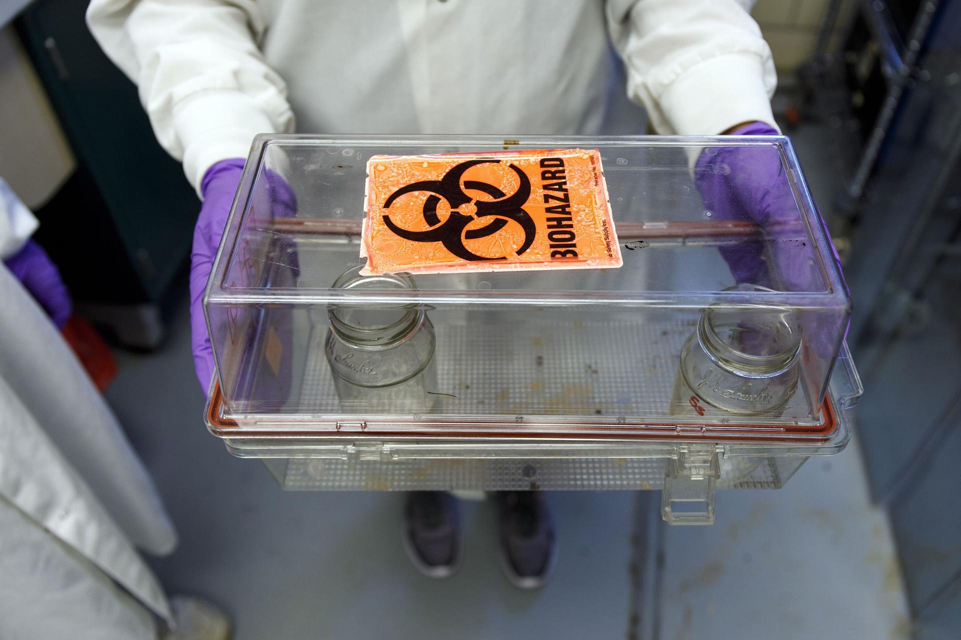 Surto de doença bacteriana transmitida por alimentos gera preocupação nos EUA