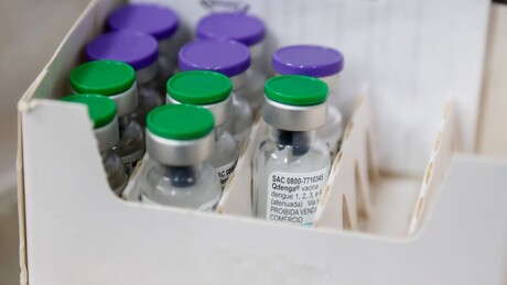 Saiba quem pode se vacinar contra a dengue após ampliação da campanha em São Paulo