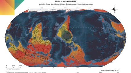 IBGE lança mapa com Brasil no centro e destaque para o Sul Global