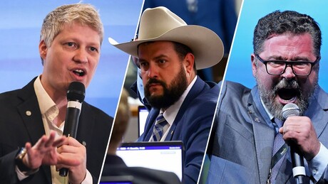 Conselho de Ética aprova suspensão de Marcel Van Hattem e mais 2 deputados; entenda o motivo