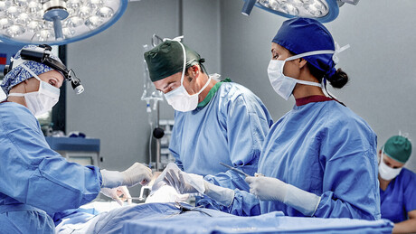 Transplante inédito permite produção de espermatozoides em homem estéril