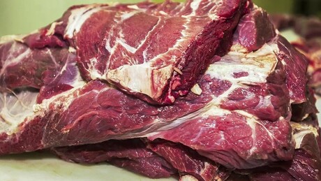 UE exclui Brasil de lista sanitária e barra exportações de carne ao bloco