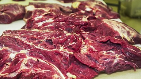 Governo busca reverter restrições da União Europeia à carne brasileira